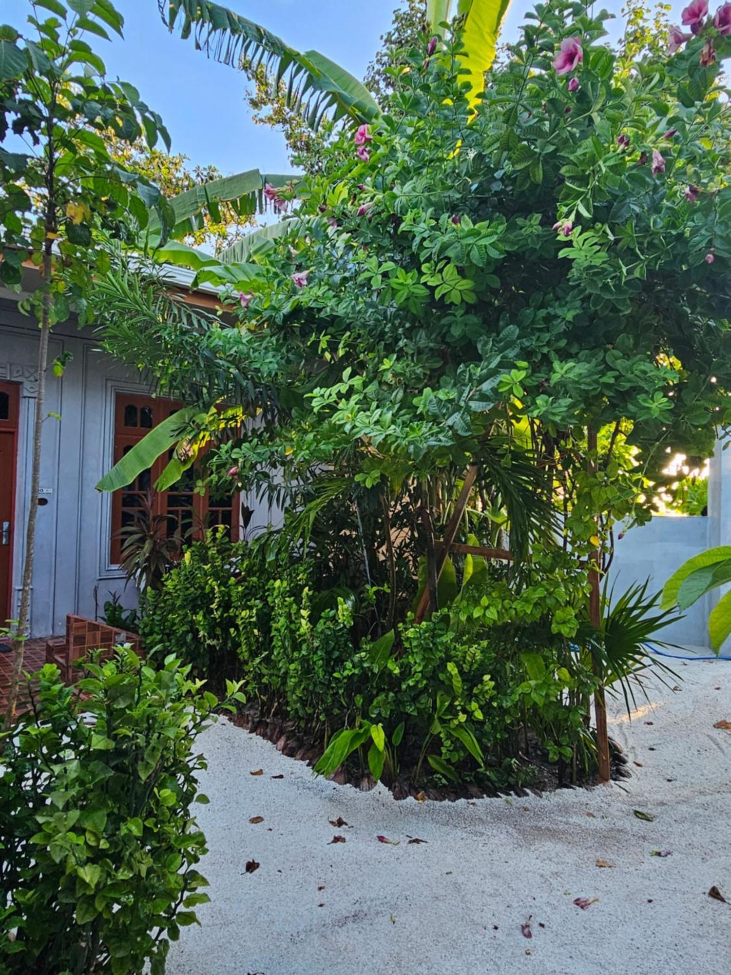Sunset Beach View Dhangethi Bagian luar foto