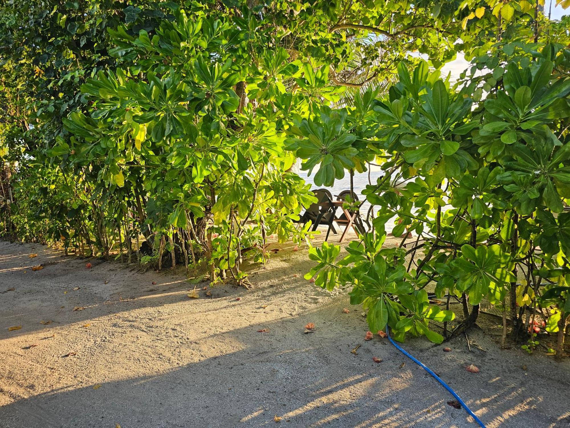 Sunset Beach View Dhangethi Bagian luar foto